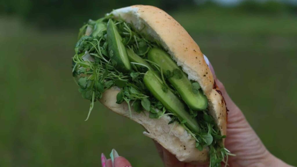 A Grove "cozy" sandwich.