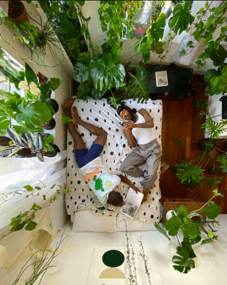 Plant parent Curt Morton and friend embrace their open space with plants (Picture by Curt Morton)