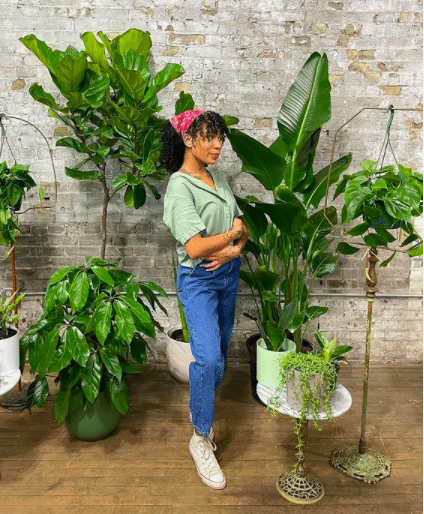 image | Carvd N Stone Plant owner of Maranta Plant Shop with her plant children. (Picture from Maranta Plant Shop Instagram)